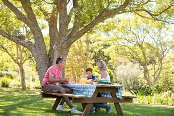 family enjoying a picnic under a tree